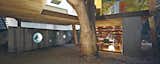 Casa Serpiente, or "Snake House" in Lima, Peru, is named after the building's twisting form that meanders around 25 trees. As the second-largest desert city in the world, it almost never rains in the area, making trees precious. The home has plenty of open space and light, while an occasional trunk pokes through the house. 