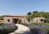 A Part-Conservation, Part-Expansion Project in Formentera, Spain, Seeks  $3.7M - Photo 2 of 9 - 