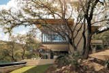 This Panoramic Austin Home for Sale Is a Stunning, Nature-Infused Sanctuary - Photo 10 of 11 - 