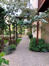 Gravel pathway in community courtyard.