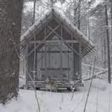 The Fern House in Winter