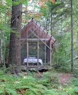 The Fern House