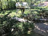 tree house/pond 
