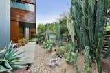 Entry with cactus garden