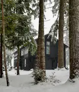 Contrast  of the a winter season. - Bentley Longhouse, Lord & Plumb