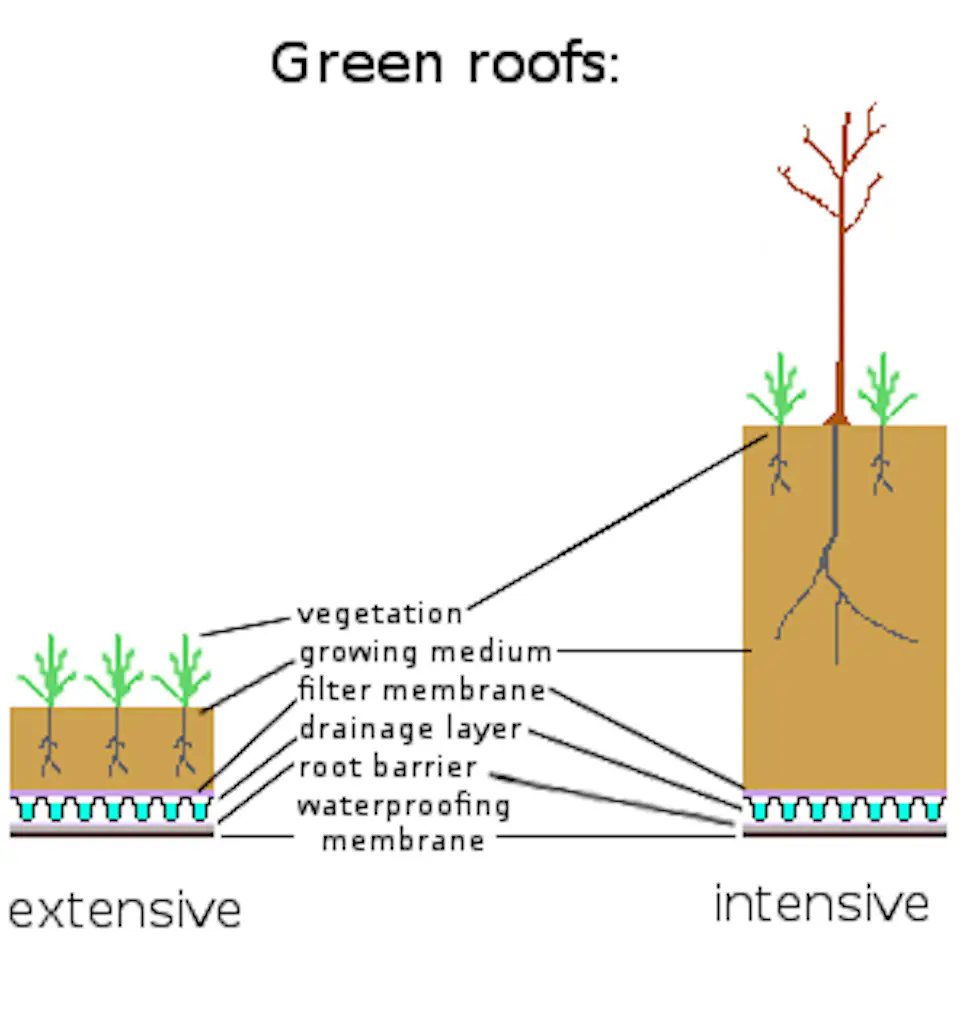 Photo 4 of 7 in 4 Easy Steps to Creating Your Own DIY Green Roof - Dwell