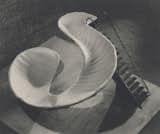 10 Things You Need to Know About Isamu Noguchi - Photo 4 of 10 - 