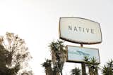 Exterior and Mid-Century Building Type  Photo 2 of 10 in Do Malibu in Style With the Native Hotel, a Rejuvenated Hollywood Favorite