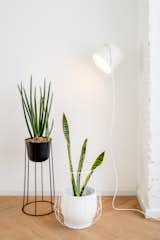 FLOS aim suspension lighting