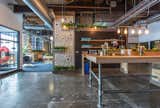 Endless plants cover the office