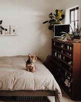 Bedroom, Light Hardwood Floor, Bed, and Bookcase Natasha and Brett's little dog, Pencil, sits on their cozy duvet.

  Photo 4 of 5 in Reno right by Katey Mat from A Couple Transform a Prefab Shed Into a Cozy Cabin in Less Than Two Months