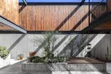 Outdoor, Concrete Patio, Porch, Deck, Side Yard, Gardens, Trees, and Concrete Fences, Wall The courtyard is open to the sky and mainly finished in concrete.

  Photos from A Modern Mexican Home Rises With Vertical Timber Cladding