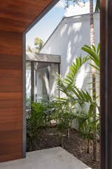 Outdoor, Side Yard, Trees, Grass, Small Patio, Porch, Deck, and Concrete Patio, Porch, Deck A glazed vestibule connects the new addition with the renovated bungalow.   Photo 11 of 21 in A Minimalist Bungalow in Miami Welcomes a Sleek New Addition