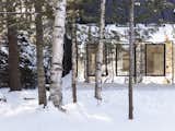 This Mirrored Cabin Playfully Brings a Forest Indoors