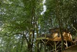 The hexagonal tree house is slightly over 800 square feet in size.
