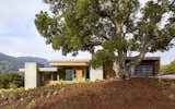 A Californian Home Gently Steps Down on an Oak-Studded Landscape
