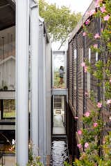 Outdoor, Flowers, and Small Pools, Tubs, Shower Glazed walkways link the two volumes over the ponds.   Photo 6 of 17 in Water Slices Through This Gorge-Inspired Australian House
