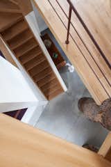 Staircase and Wood Tread A view from above down to the ground floor. Safety railings were kept simple so as to not detract from the minimalist aesthetic.  Photo 13 of 15 in A Crumbling Home Is Revived Around a Massive Tree Trunk