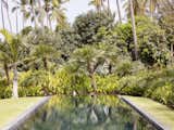The pool abuts a lush, tropical environment. The lot is nearly three acres in size.  