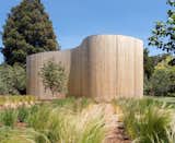 The sinuous Western Red Cedar wall is steel-framed with wood infill studs. 