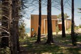 Vertical cedar planks clad the exterior of the house, which is segmented to follow the natural slope. 