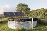 The 3,000 rainwater catchment tank is by Eco Products Maui while the solar panels are from altE Store.  Photo 6 of 15 in Budget Breakdown: A Maui Couple Build an Off-Grid Tiny Home For $45K