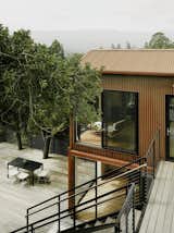 The water-resistant ipe wood deck wraps around two existing trees.