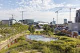 From 2015 to 2016, the first man-made natural public swimming pool in the UK surfaced briefly at a King’s Cross construction site in London. Designed by OOZE (Eva Pfannes &amp; Sylvain Hartenberg) and Marjetica Potrč using a BIOTOP &amp; Wasserwerkstatt water system, the chlorine-free pond admitted a limited number of daily bathers to give the natural filtration system time to clean and regenerate.