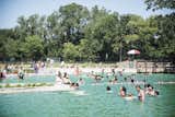 In July 2015, Minneapolis welcomed the first chemical-free, public swimming pool in the United States. Designed by local firm Landform, the 16,800-square-foot natural swimming area and lap pool (and the 4,500-square-foot wading pool) are naturally treated by a 16,250-square-foot "regeneration basin" with over 7,600 plants of 36 different species.&nbsp;