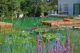 Austria–based natural pool pioneer BIOTOP has created natural swimming pools around the world for the past three decades. Pictured is one of their case studies: A spacious natural pool in a Vienna suburb with over 2,000 square feet of swimming space, floating lily pads, and stepping stones.