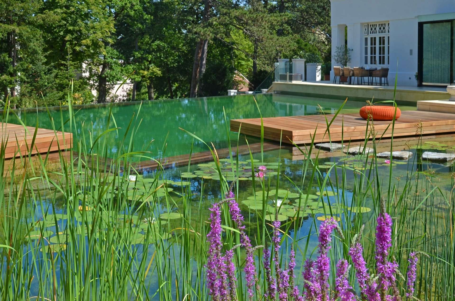 7 Natural Swimming Pools That Are Completely ChlorineFree Dwell
