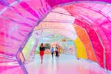 SelgasCano’s Psychedelic Serpentine Pavilion Opens at the La Brea Tar Pits