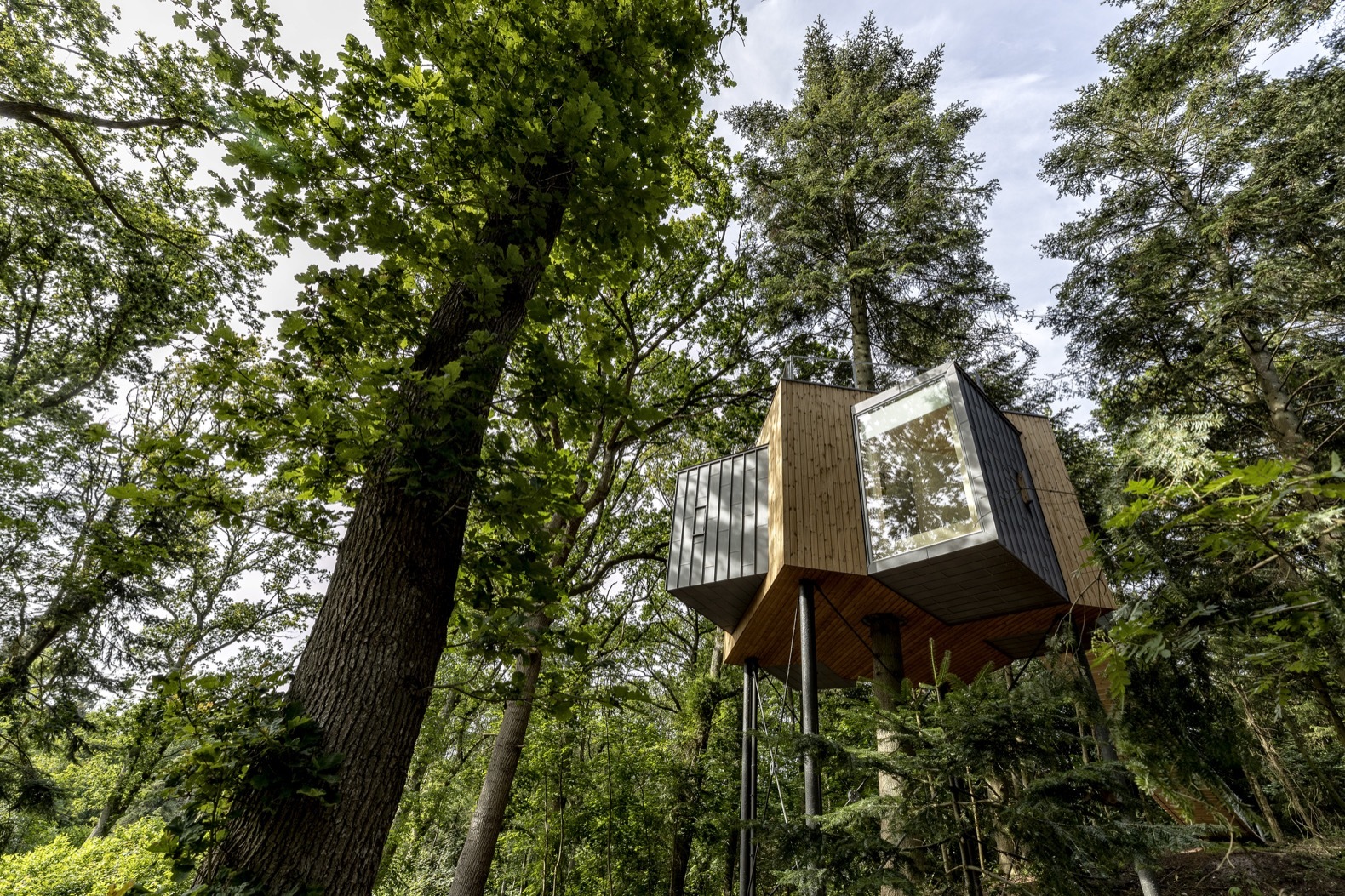 Løvtag Tree House Cabin by Sigurd Larsen - Dwell