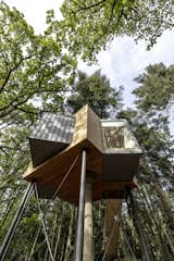 A tree grows through the center of the cabin, which is elevated 26 feet in the air and supported by thin metal pillars.