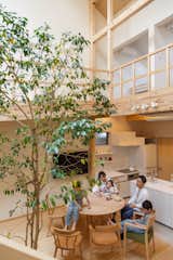A Ficus Tree Grows Through This Sun-Soaked House in Kyoto
