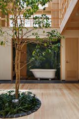 The bathroom was positioned to face the living room so that the family could enjoy an "open-air bath" with view of the tree. "I wanted to see a combination of two greens," explains Chikamori. "One is the central tree&nbsp;as a living creature and another is manmade green on the&nbsp;bathroom wall. They&nbsp;emphasize each other's charm."
