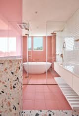 Cats’ Pink House bathroom