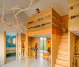 Artists were brought in to create a tree sculpture that rises above the two elevated sleeping spaces with integrated storage and desks underneath. The bedroom also has a large mirror with a ballet bar. 