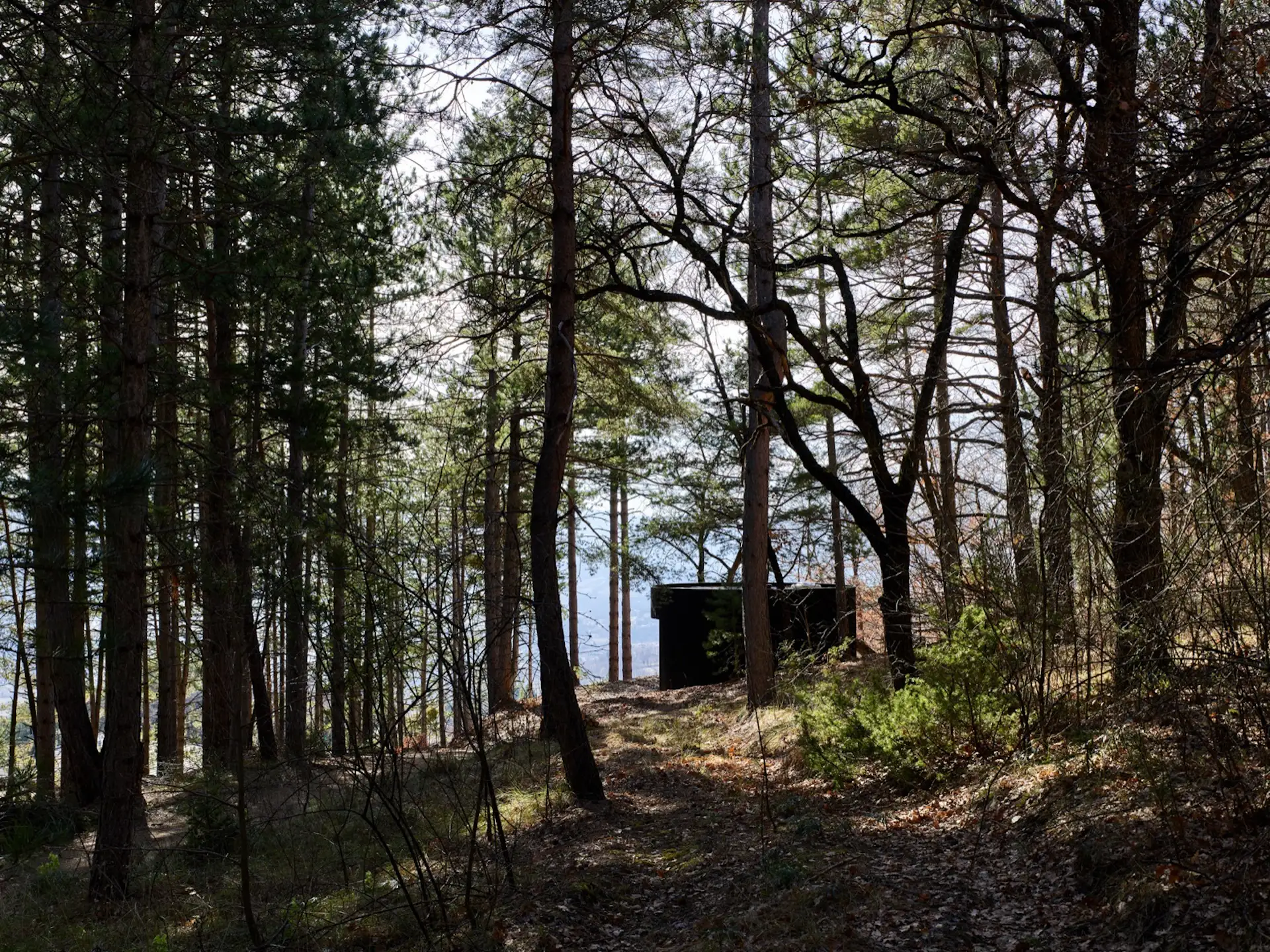 The building’s dark wooden exterior and low profile helps it blend into its surroundings.