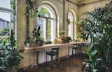 In place of "unnecessary" decorative items, the designers opted to fill rooms with houseplants. 