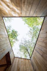 A view from the central courtyard that opens up to the forest canopy and sky. 