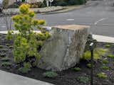 Boulders (chosen by homeowner) paired with Chief Joseph Lodgepole Pine.