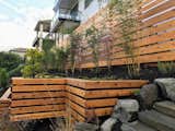 The pine's planting bed appears to float over the slope.