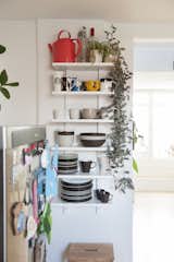 open kitchen shelving with climbing plant