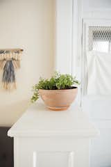 A small potted plants sits atop the dividing area between the alcove and kitchen