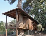 Exterior, House, Tile, Wood, Metal, Hipped, Prefab, Shipping Container, Green, and Green  Exterior Tile Metal Green Photos from Two-Tree House