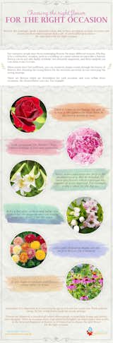The florists from Send Flowers can create the perfect bouquet for any occasion.
For more ideas visit our website: https://www.sendflowers.org.uk/

