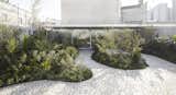 Roof extension with garden