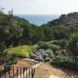 Tossa de Mar - Water-wise Planting