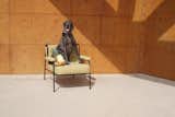 Outdoor Campbell Lounge Chair